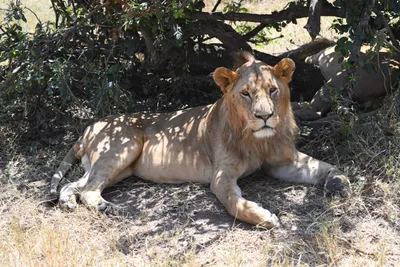 DSC_3582 (Large).JPG